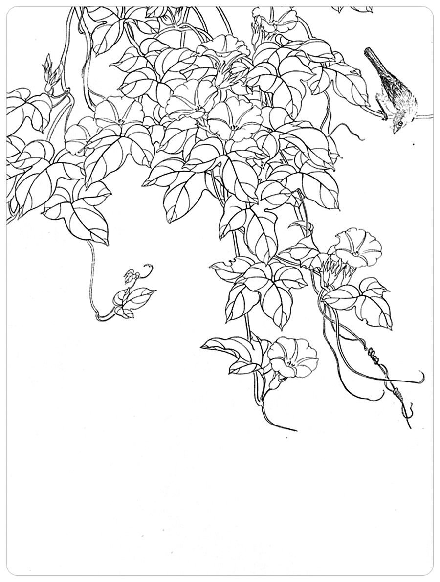 Цветы плетущиеся карандашом