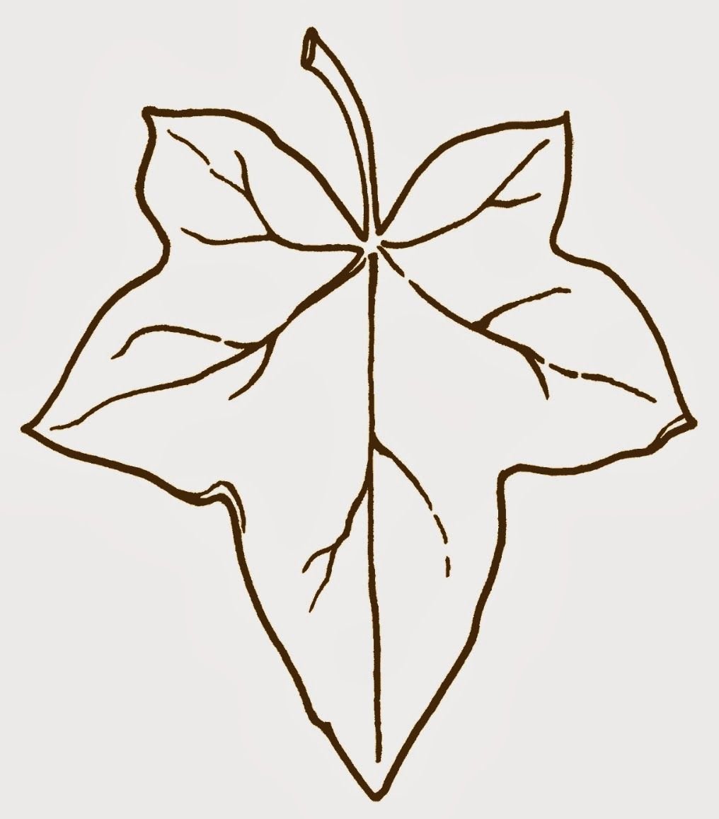 Листья лианы раскраска - 69 фото