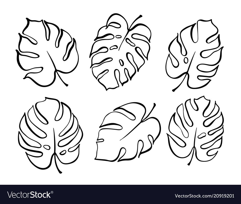 Лист монстеры для вырезания