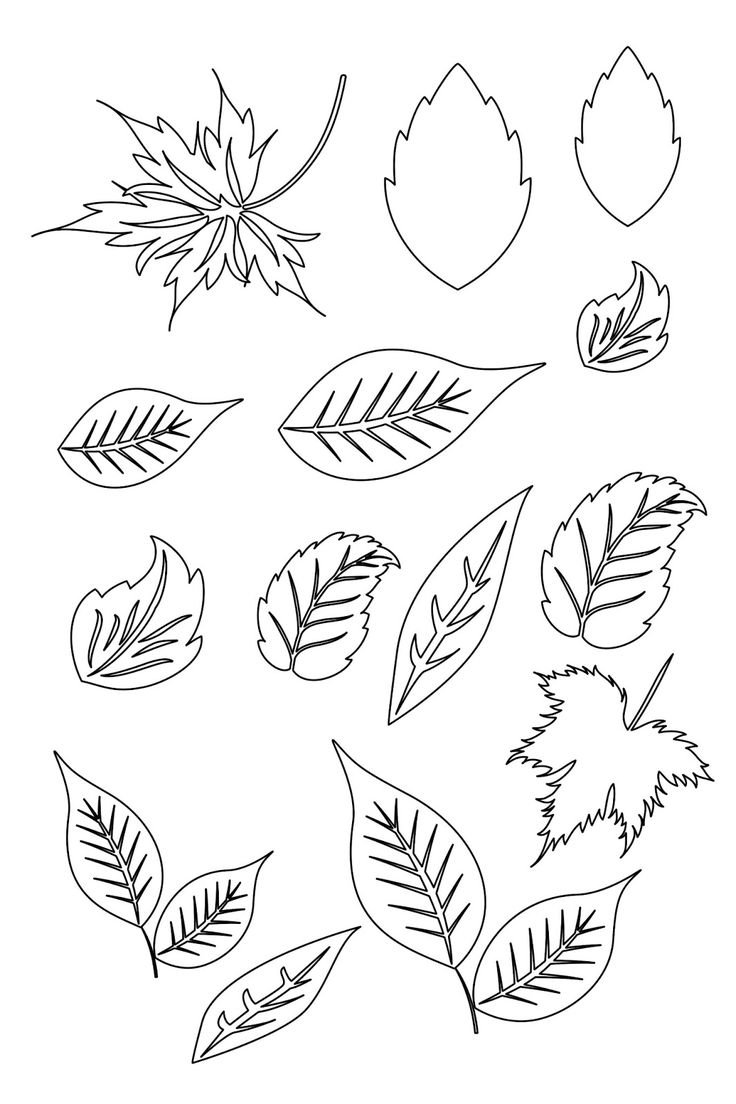 Трафарет для вырезания цветы и листья