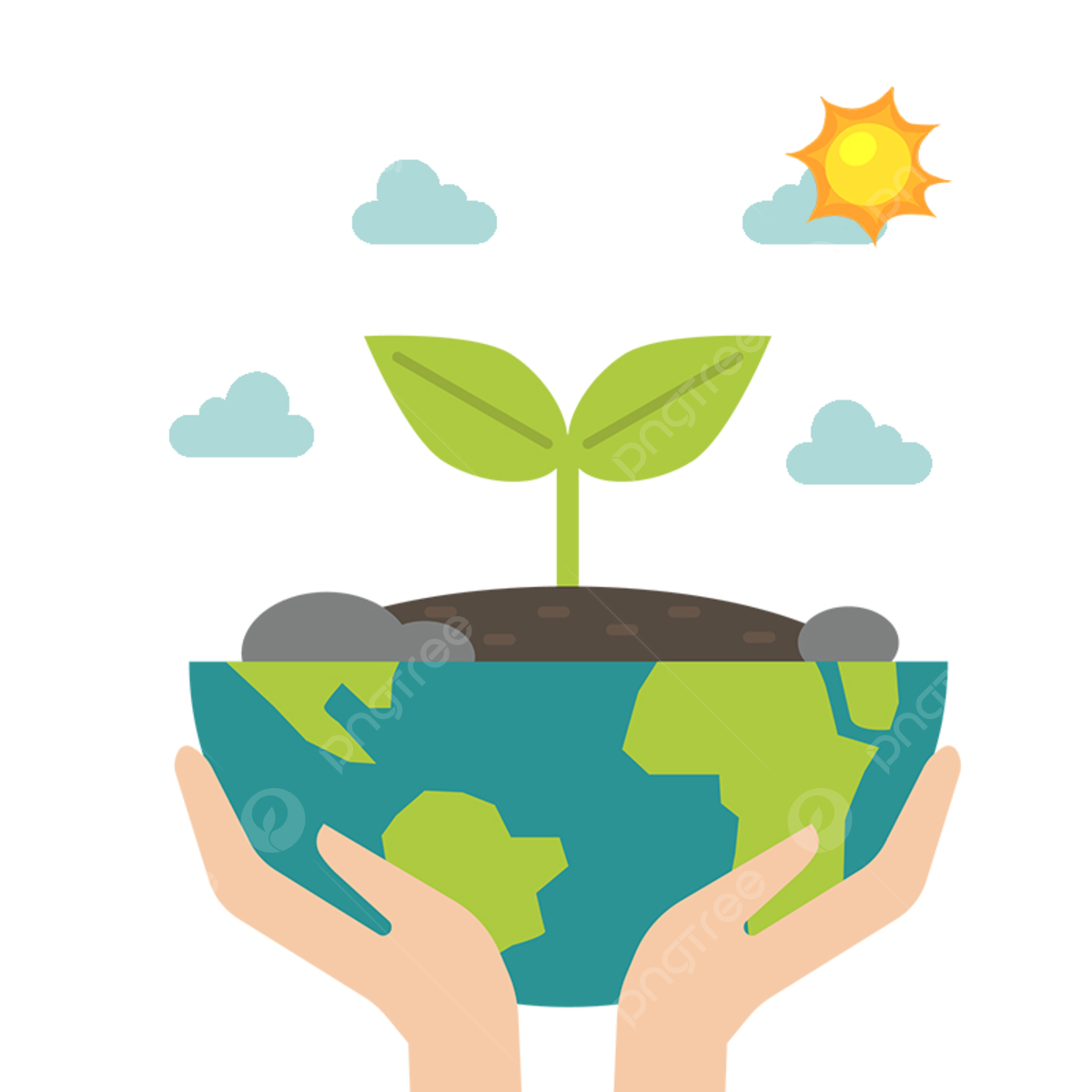 Капилляры в почве