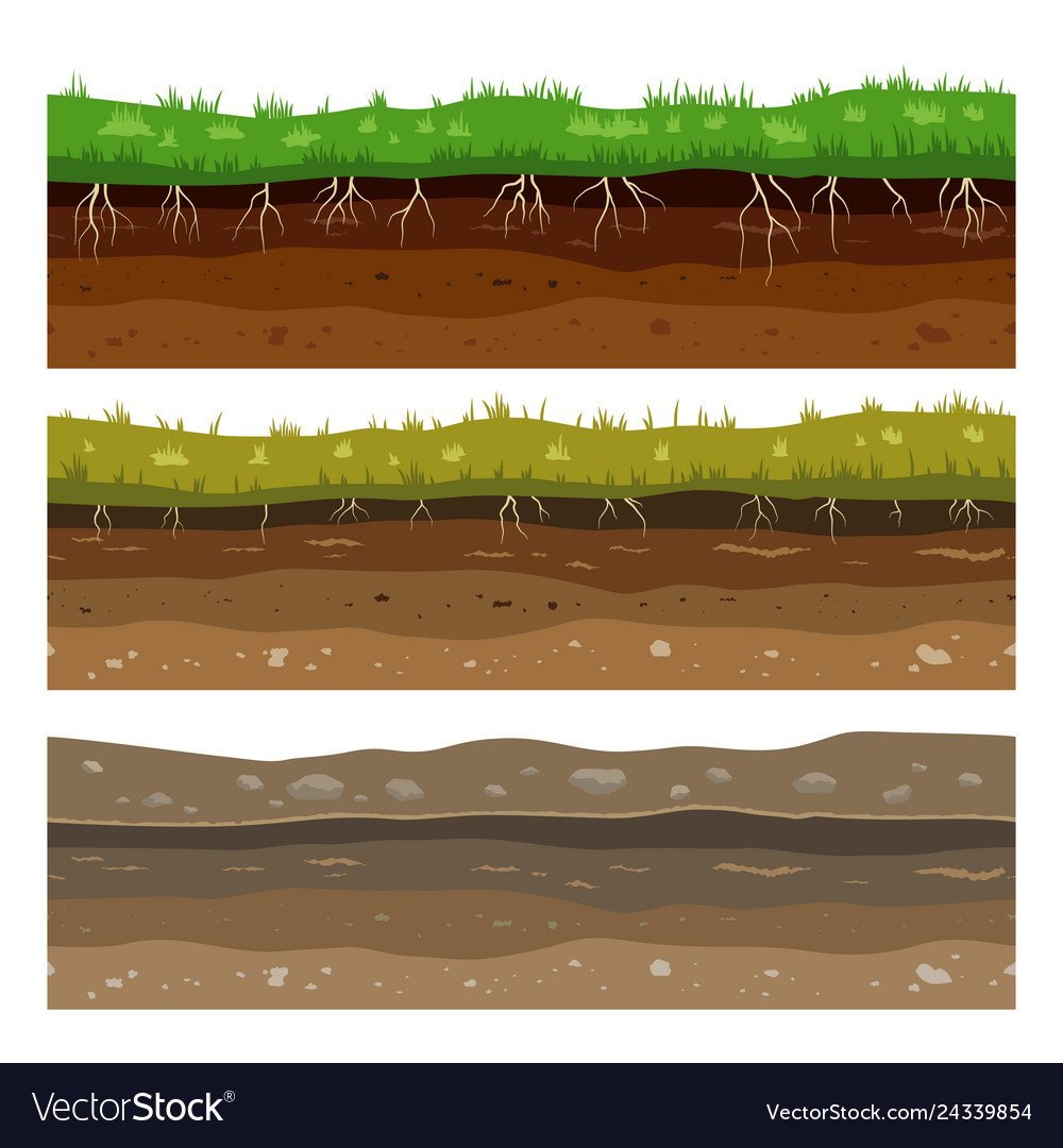 Росток в руках вектор