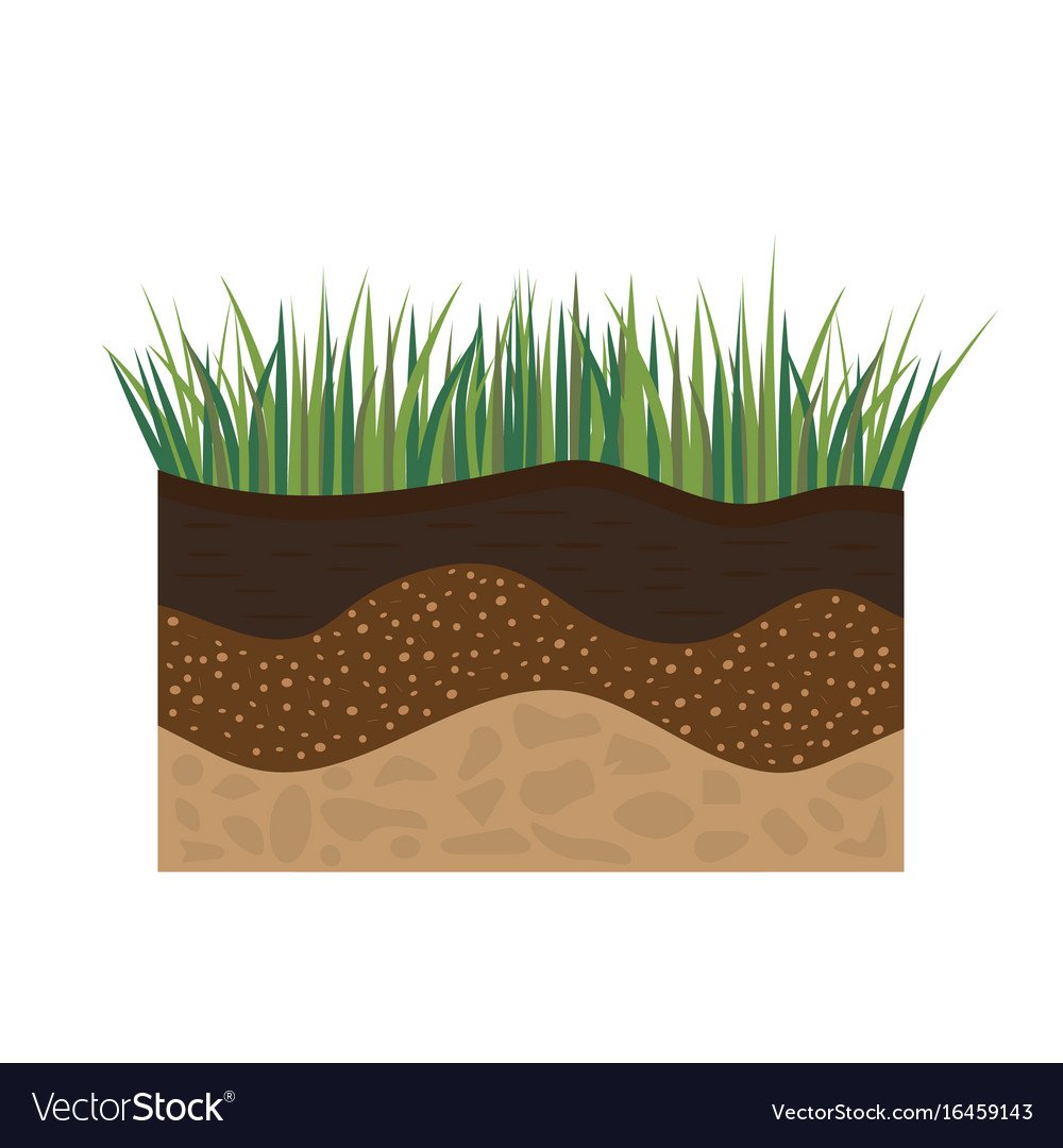 Разрез земли вектор