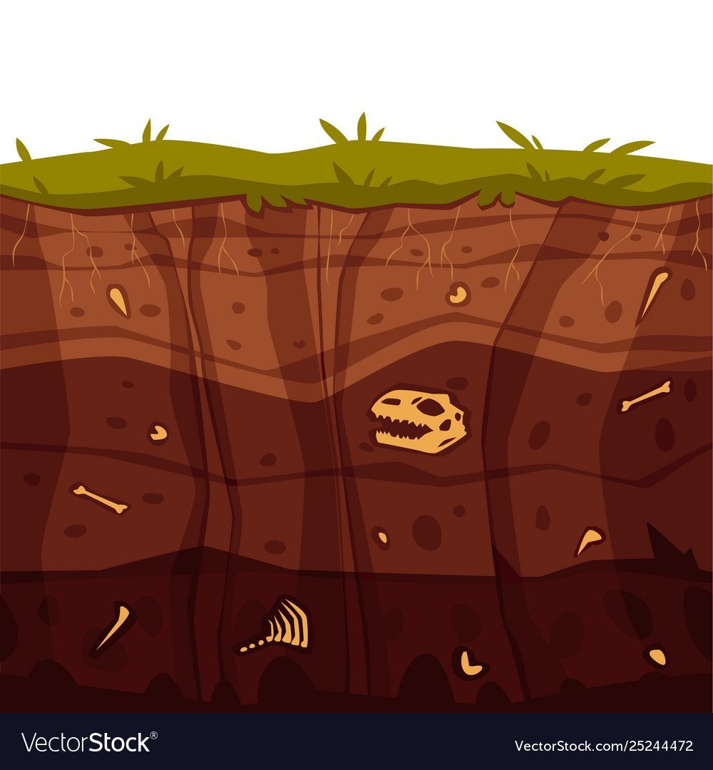 Прямоугольный кусок почвы