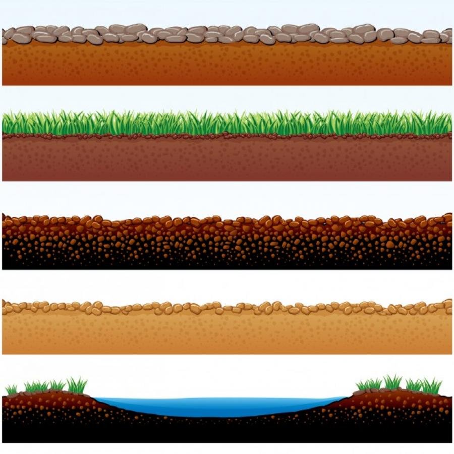 Грядка на прозрачном фоне