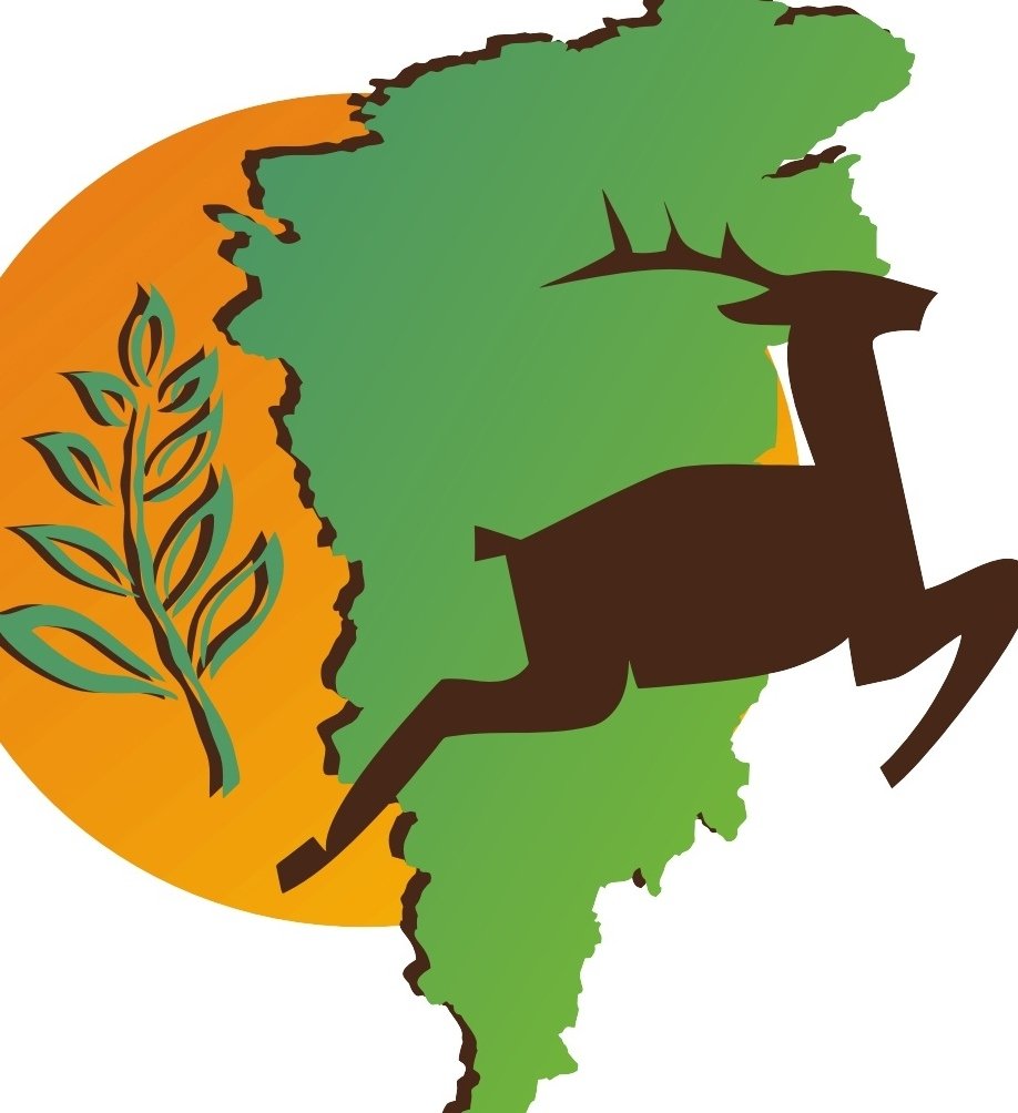 Детские рисунки о Печоре