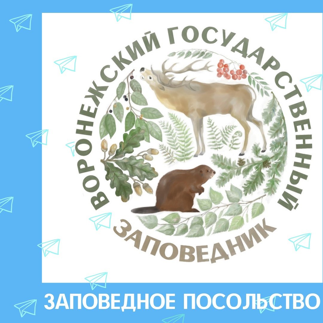 11 Января день заповедников и национальных парков