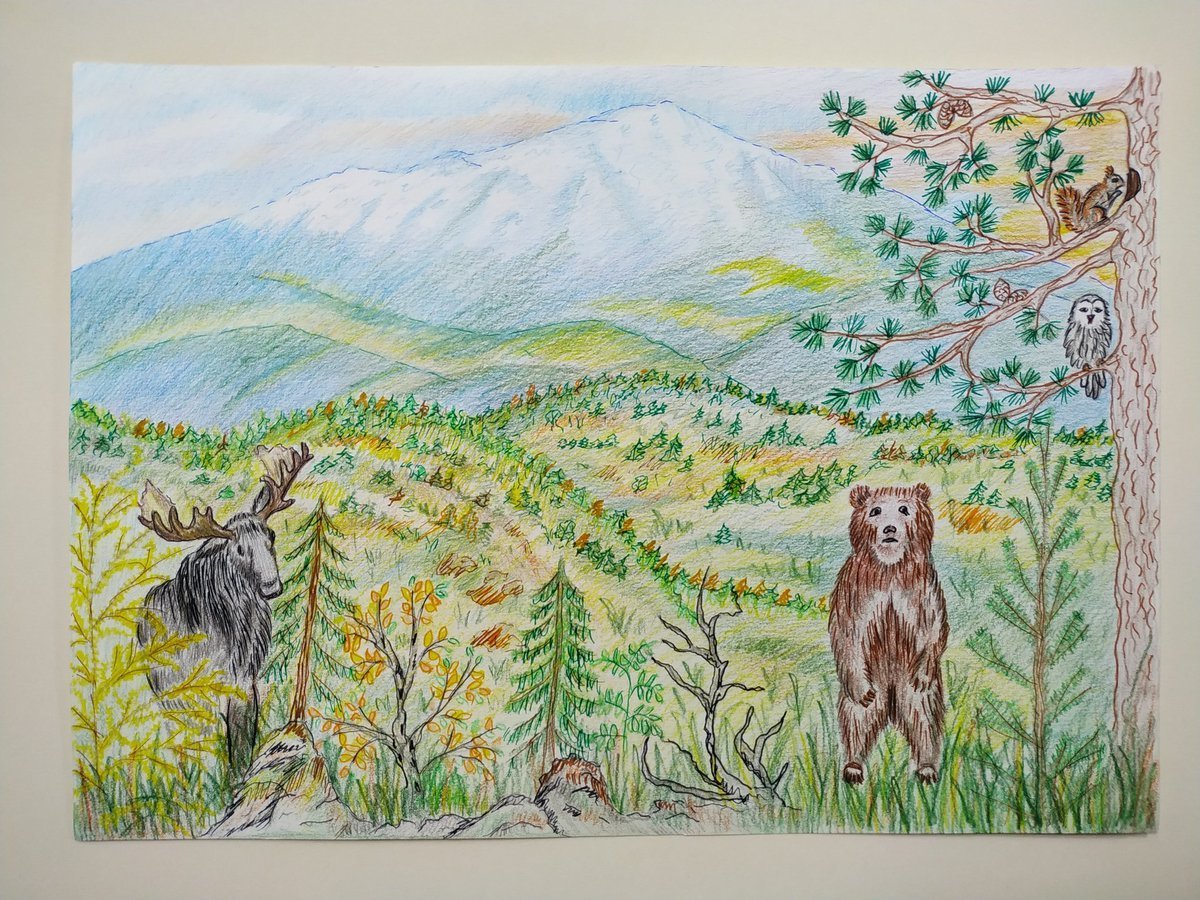 Малая Сосьва заповедник логотип