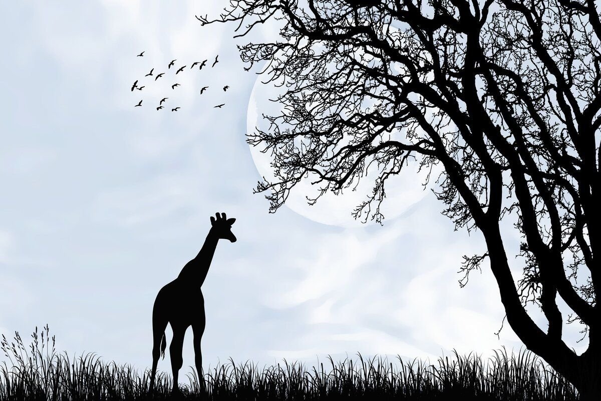 Послушай далеко далеко на озере. Иллюстрация к стихотворению Гумилева Жираф. Н. Гумилева "Жираф". Жираф на озере Чад Гумилев.