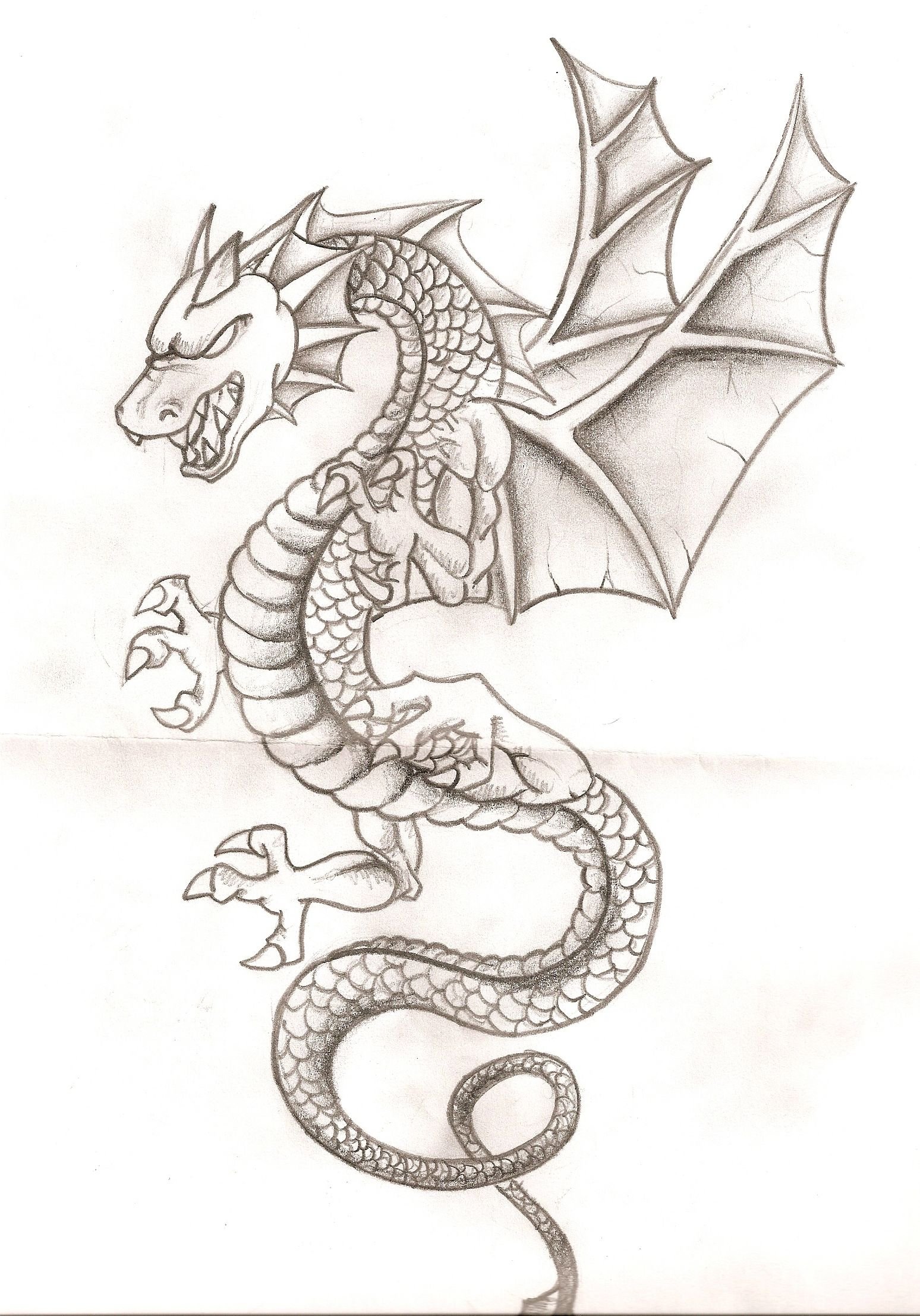 Дракон рисунок для срисовки. Рисунки драконов карандашом. Дракон простым карандашом. Красивый дракон рисунок. Дракончики для срисовки.