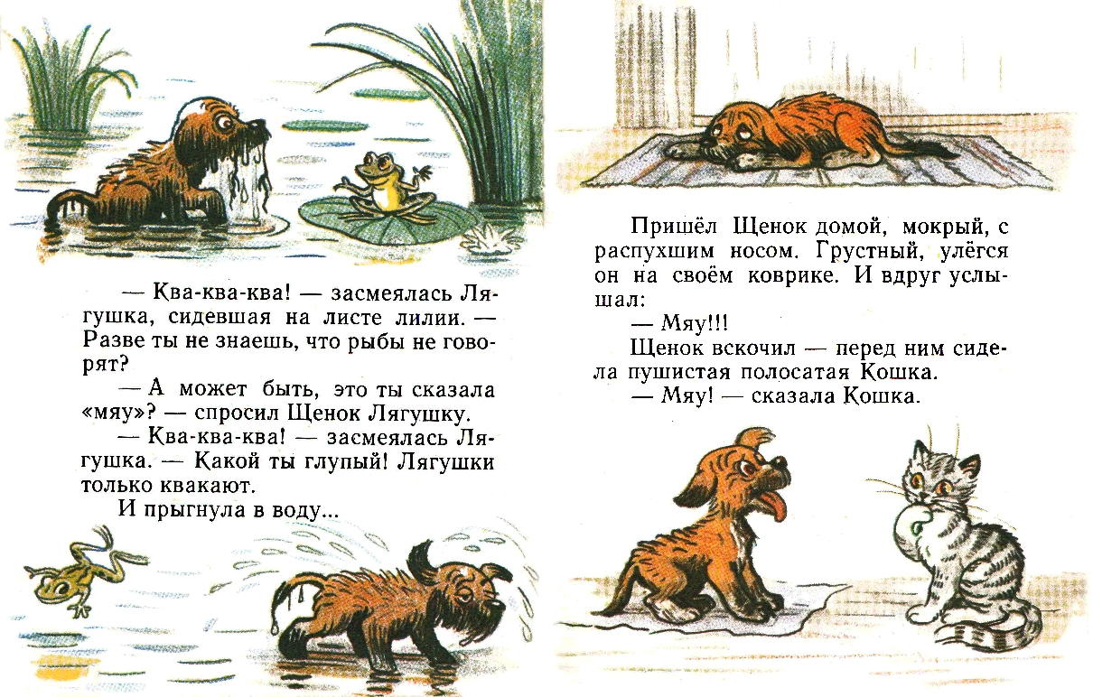 Мокрая собака. Собака которая дрожит черная. Мокрая собачка сидела у подъезда и дрожала. Мокрый щенок. Мокрая собачка сидела у подъезда и дрожала.