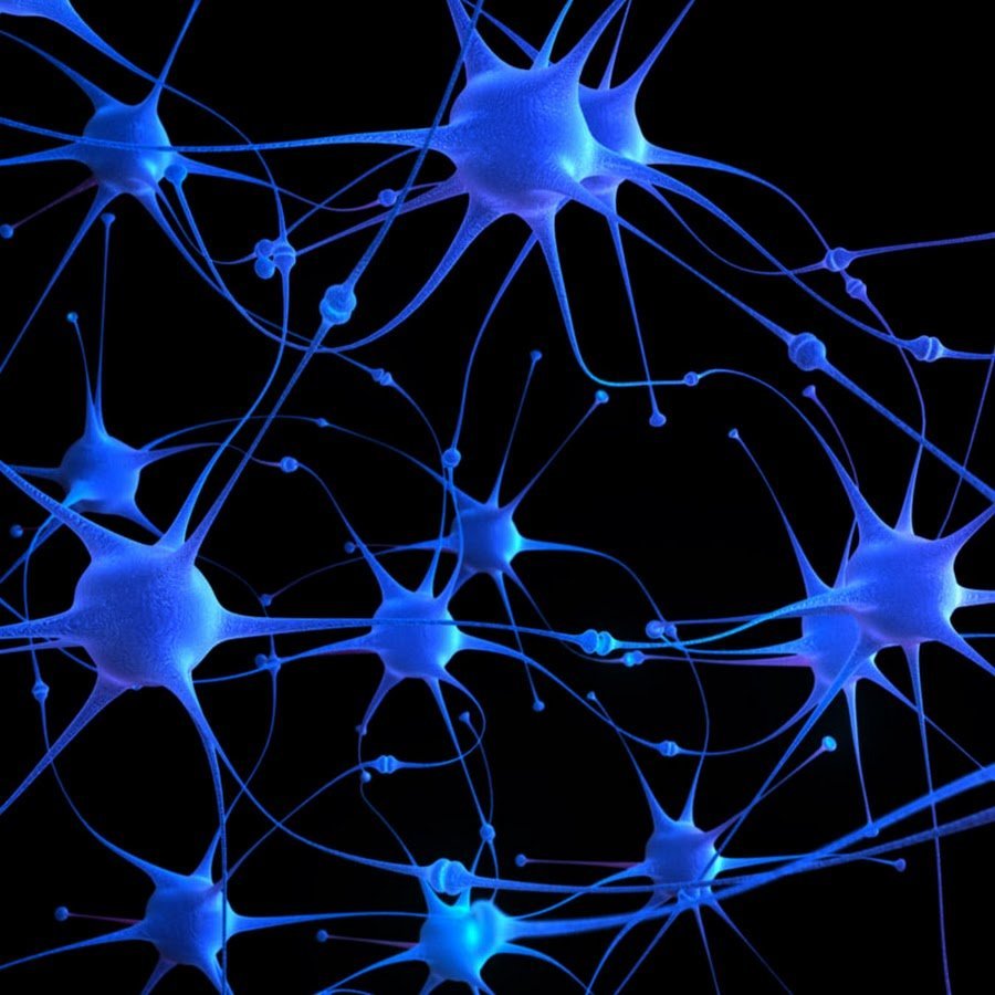Как создать нейронные связи. Нейроны и нейронные связи. Клетки мозга. Нервная клетка. Нейроны головного мозга.