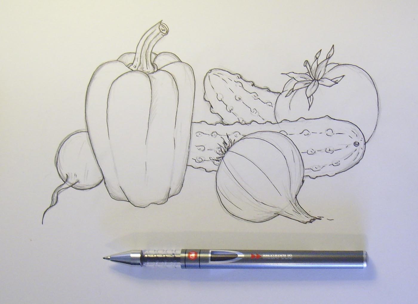 Натюрморт овощей и фруктов карандашом