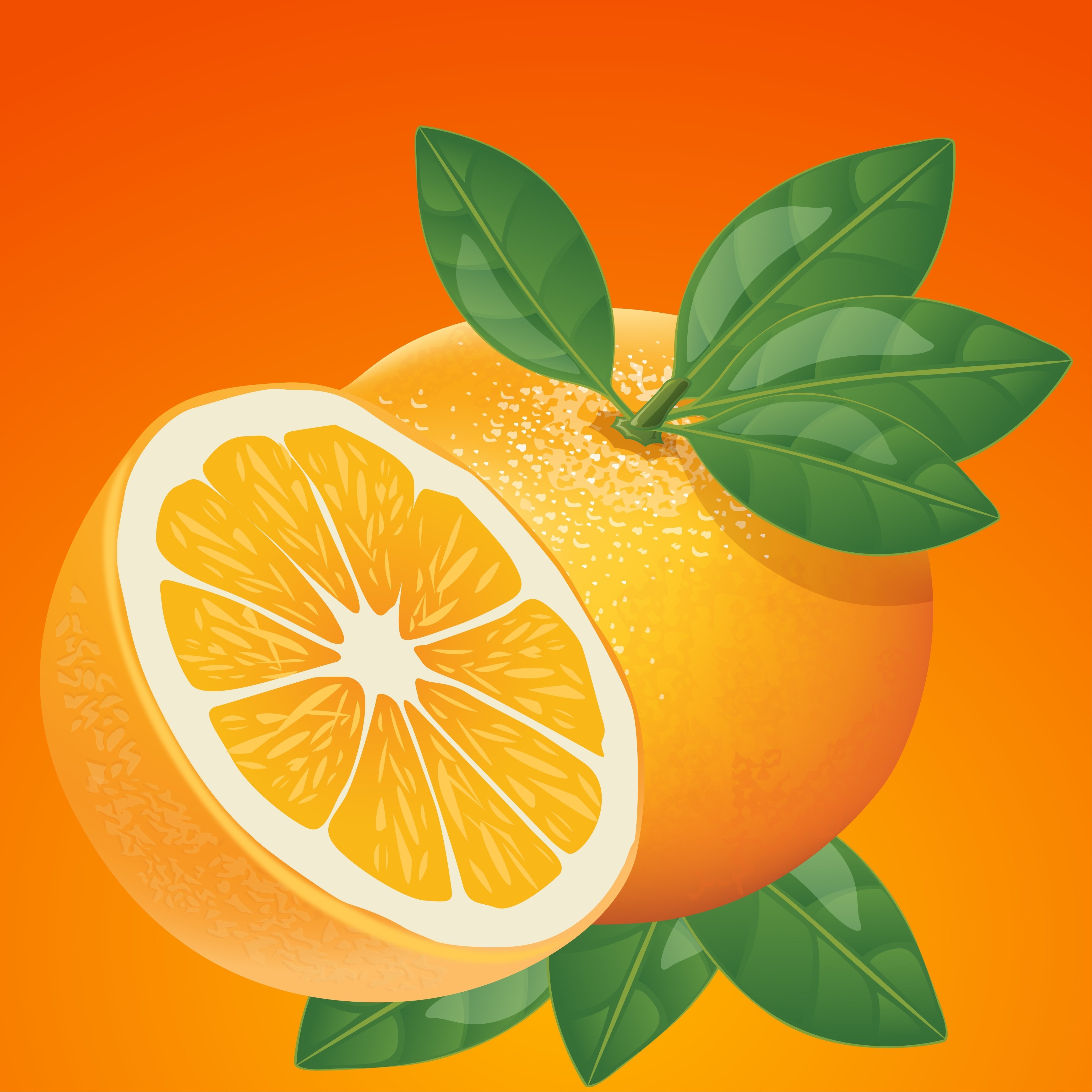 Мандарин графика. Апельсин. Апельсин рисунок. Апельсин для рисования. Апельсины мультяшные.