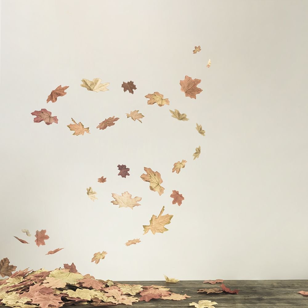 Осень. Осенний листопад. Ветер в осеннем лесу. Ветер из листьев. Вихрь из осенних листьев.