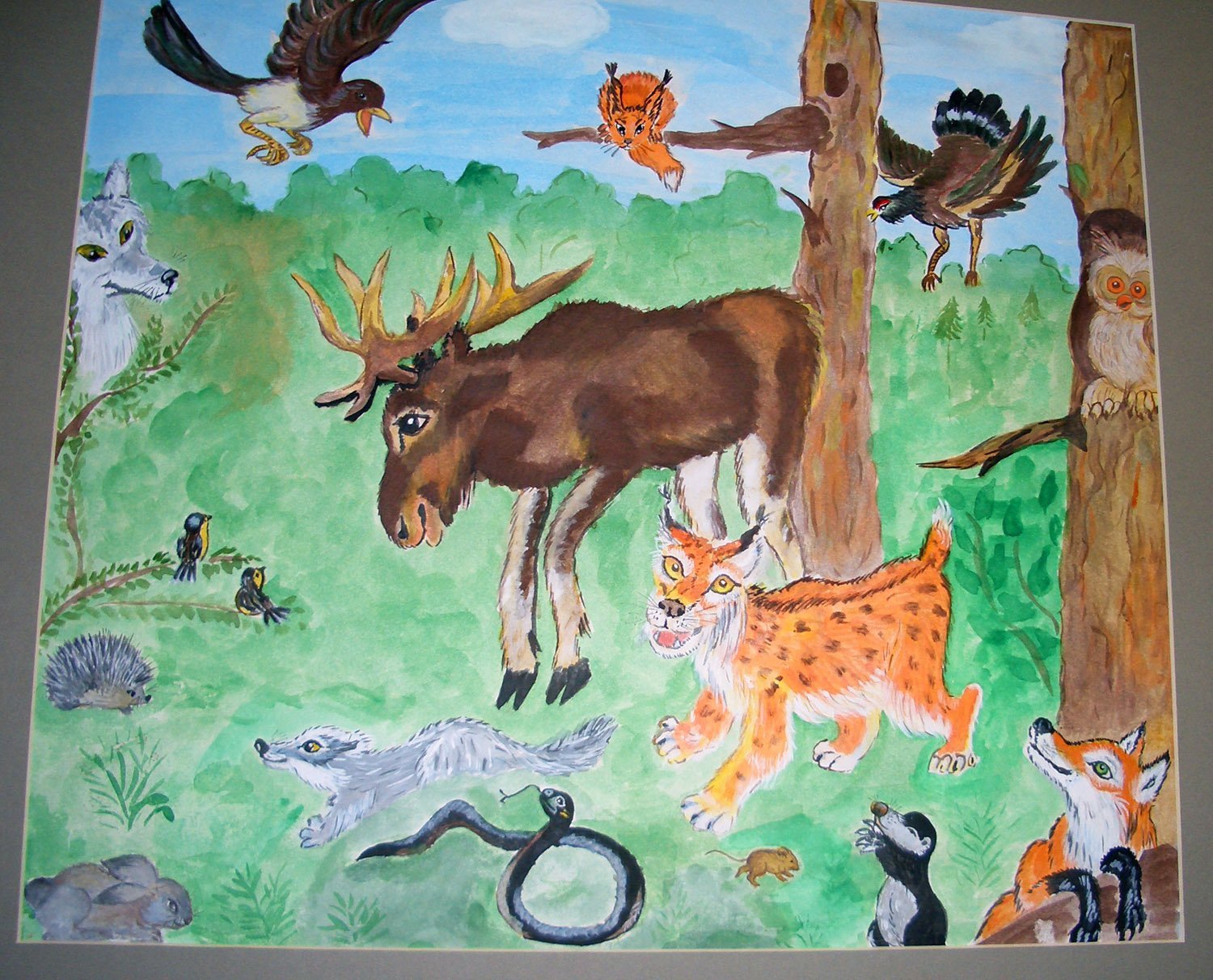 Экология диких животных. Рисунок на тему лес. Мир заповедной природы рисунки. Животные в лесу рисунок. Рисунок на тему природа с животными.