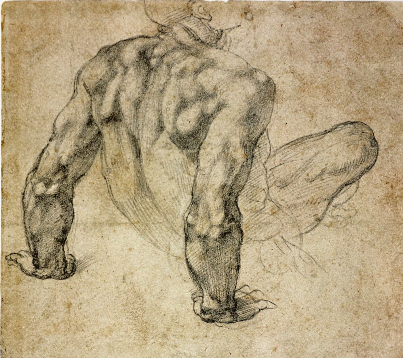 Тело возрождение. Наброски Микеланджело. Микеланджело Буонарроти рисунки анатомические. Эскизы Микеланджело Буонарроти. Микеланджело Наброски эскизы.