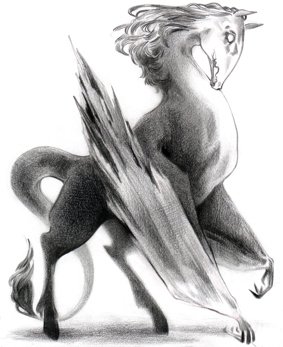 Магические существа черно белые