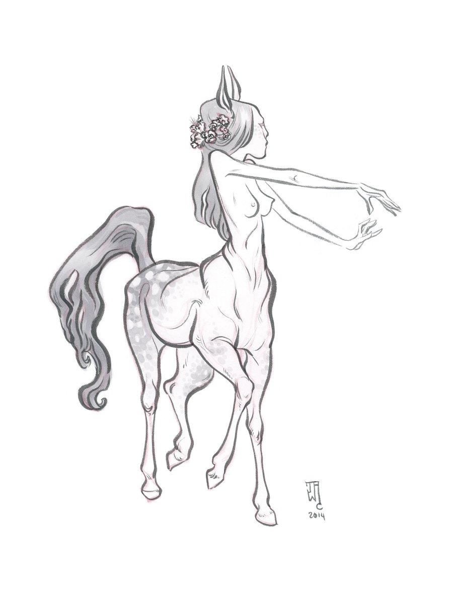 Кентавры референс девушки
