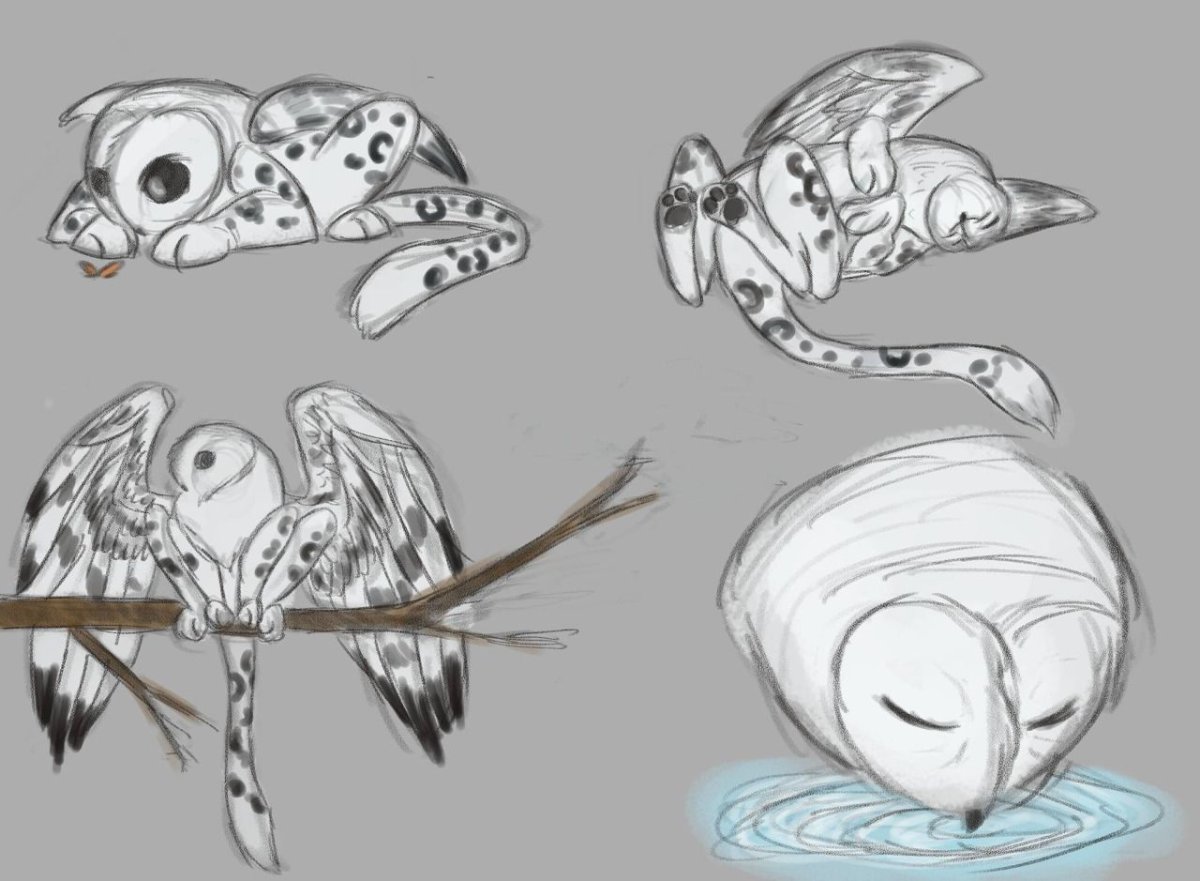 Грифон Совы Сипухи