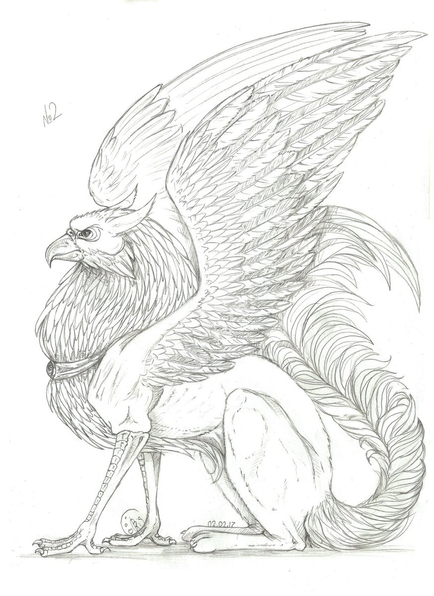 Грифон рисунок карандашом