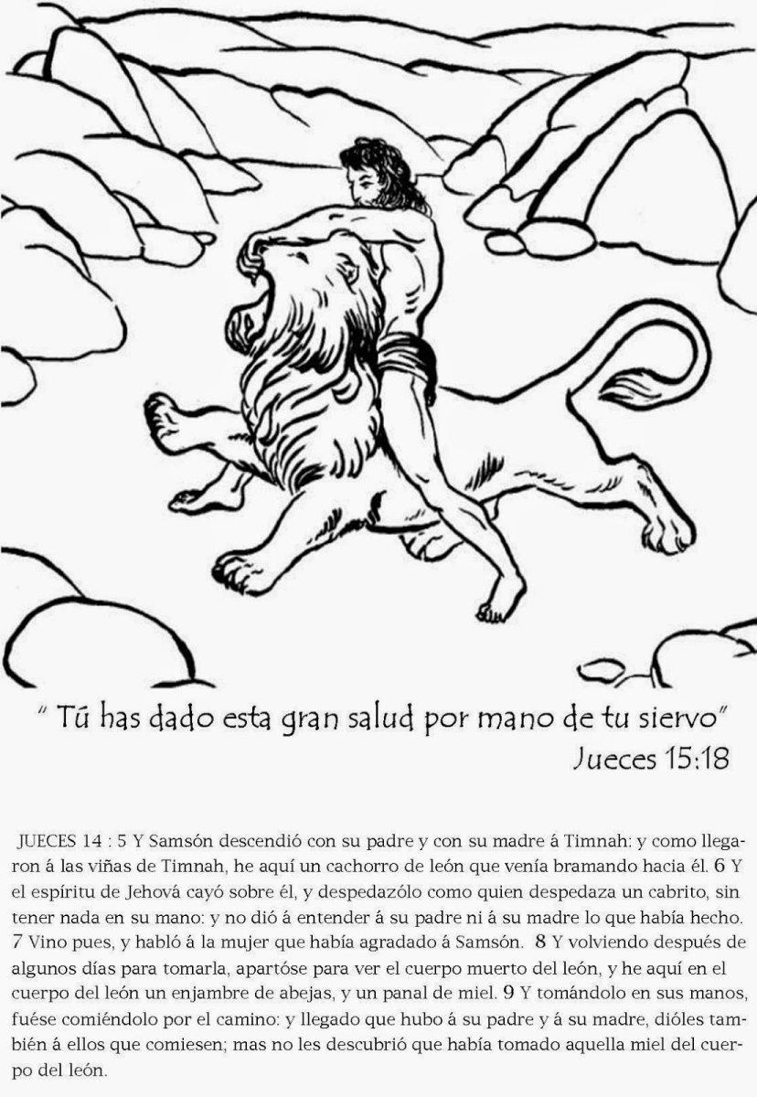  76 