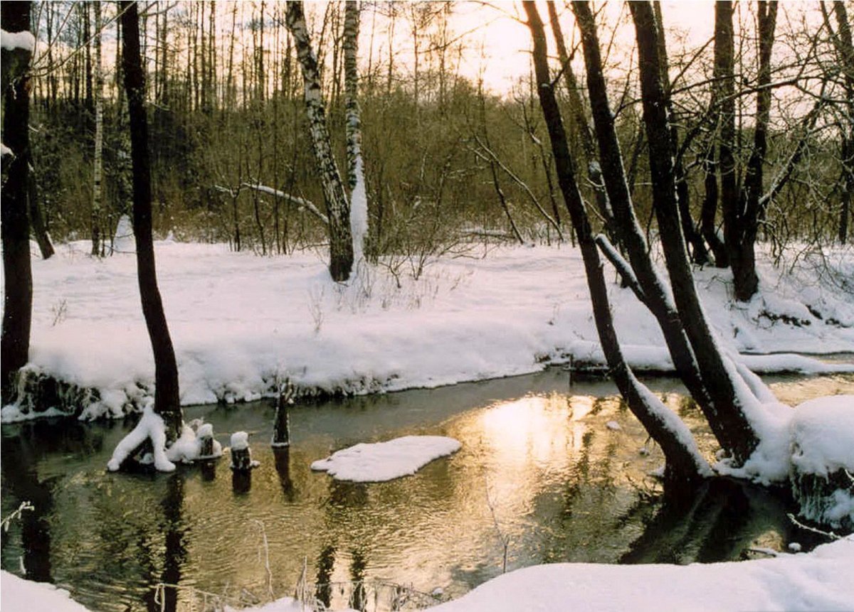 Картинка весенние воды тютчев