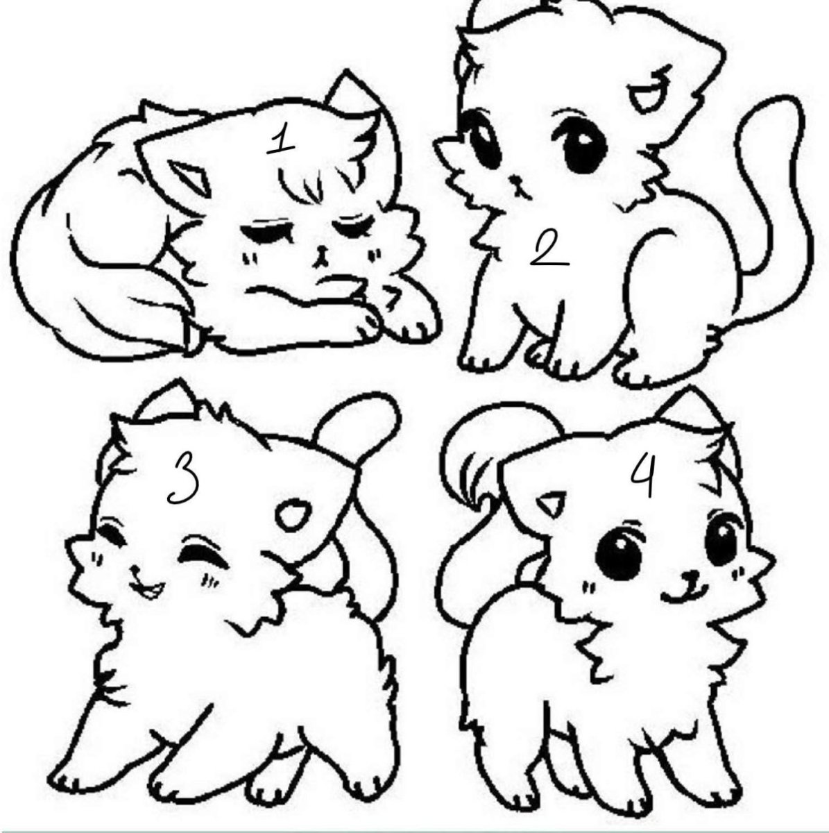 Кошечки собачки рисовать