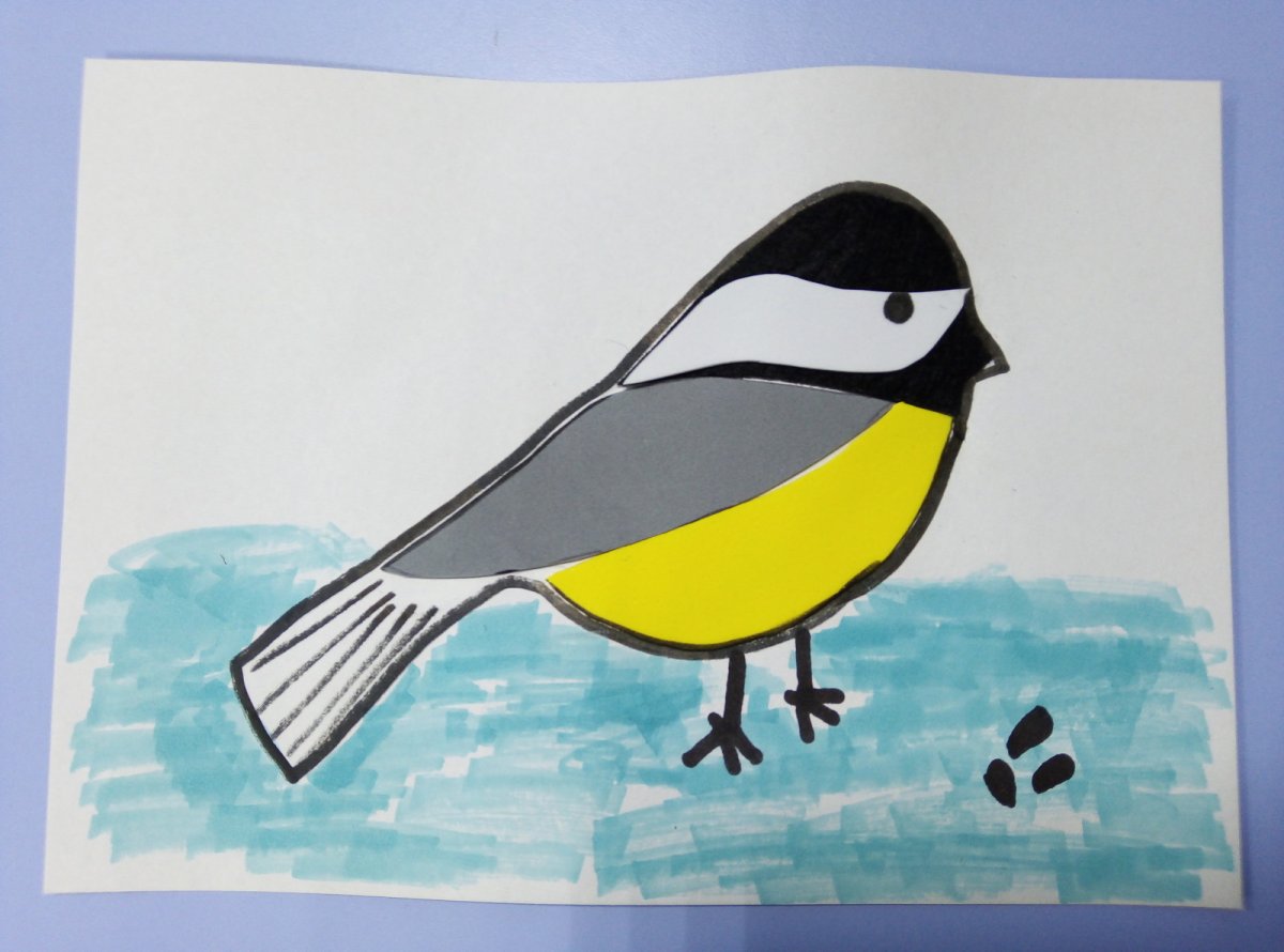 Синичка рисунок для детей карандашом