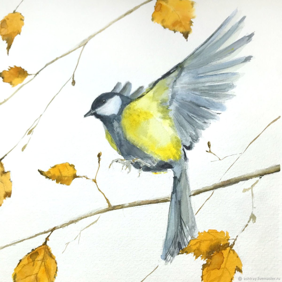 Синица вектор