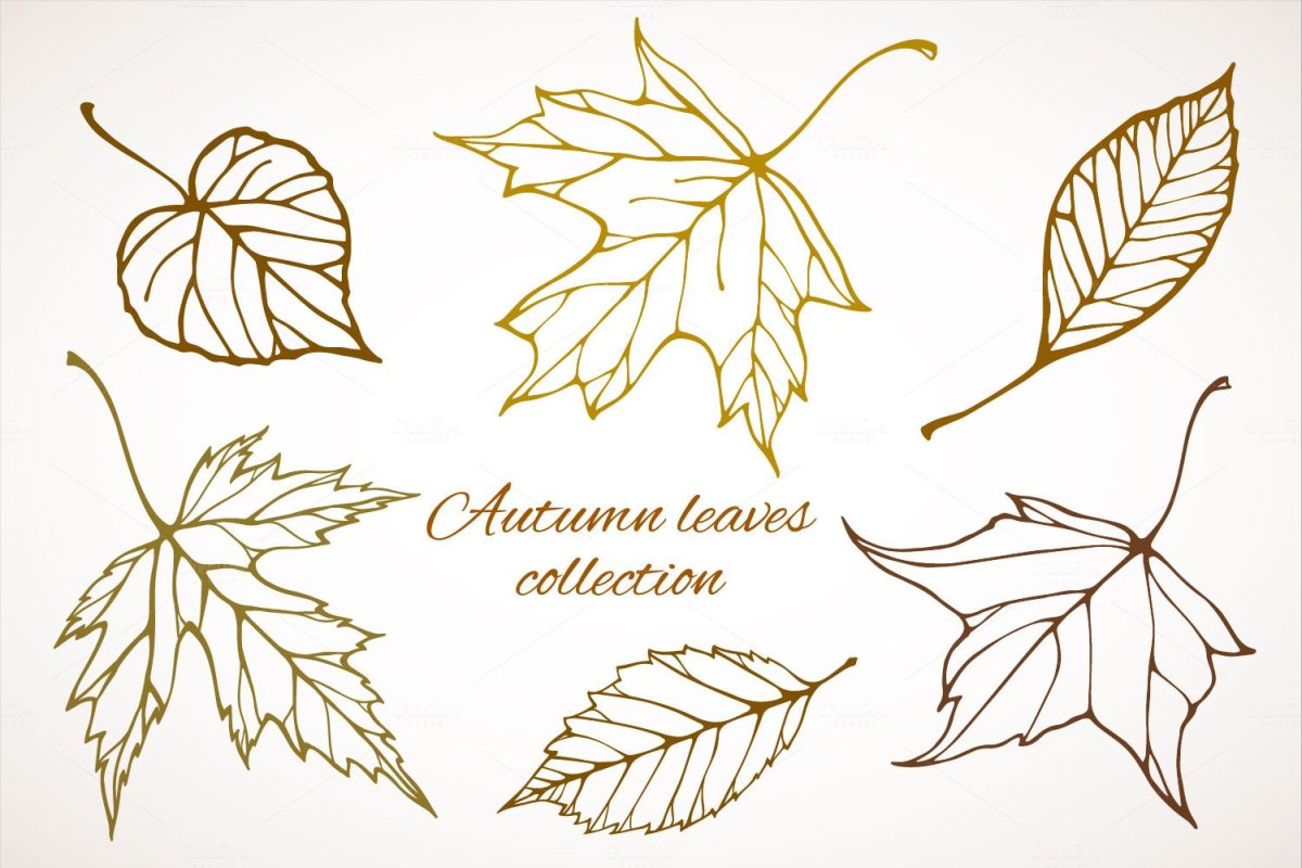 Листья карандашом дизайн
