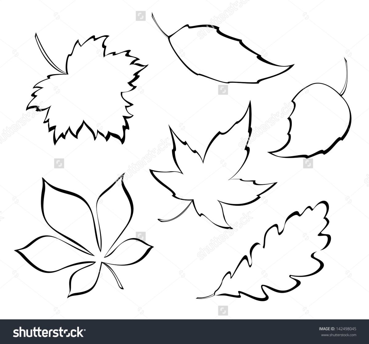 Опавшие листья акварелью