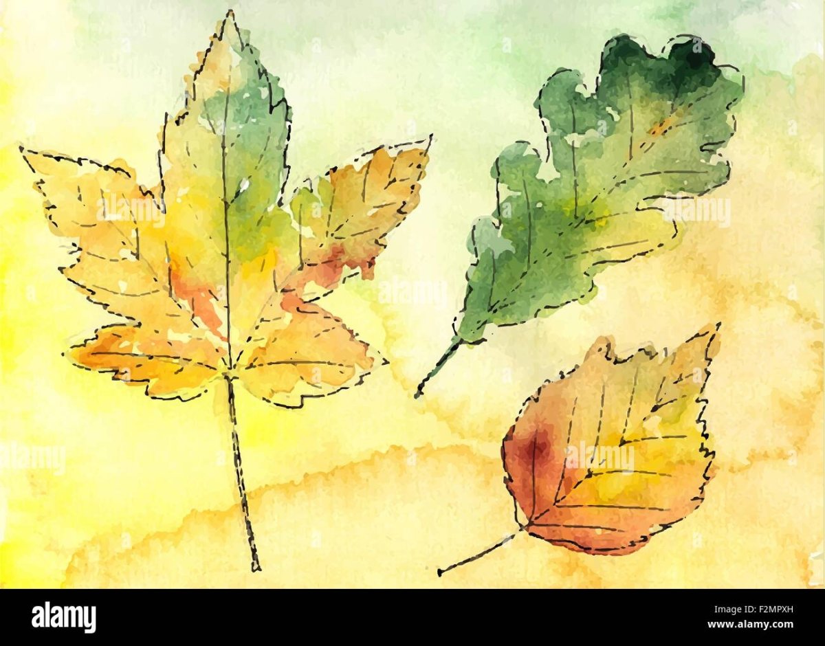 Композиция из листьев Графика