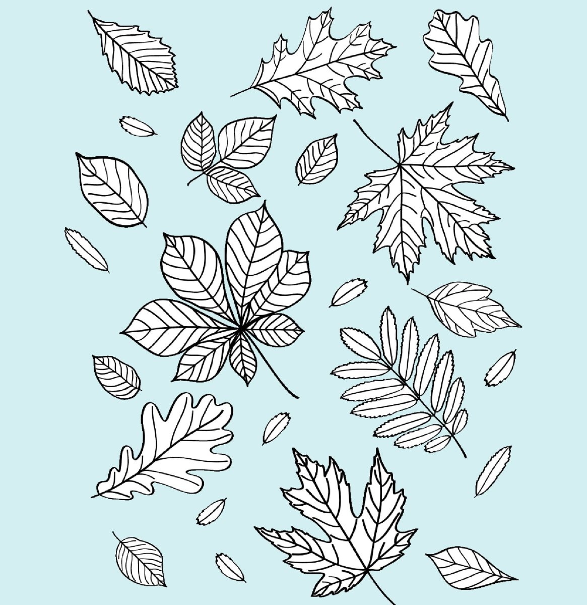 Осенние листочки скетч