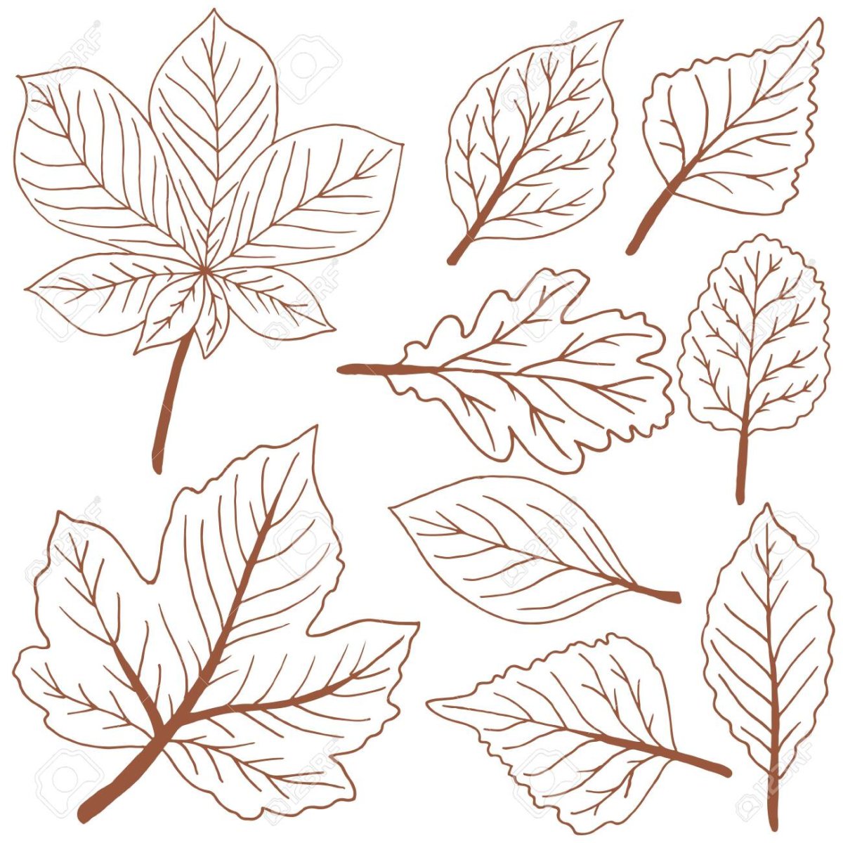 Необычные осенние листья