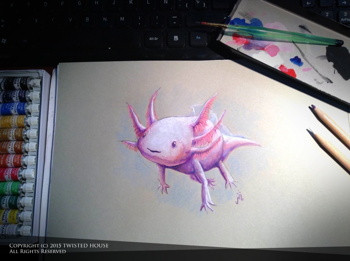 Аксолотль тату эскиз