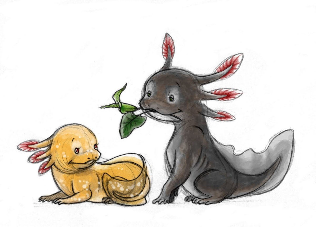 Аксолотль милашка аниме