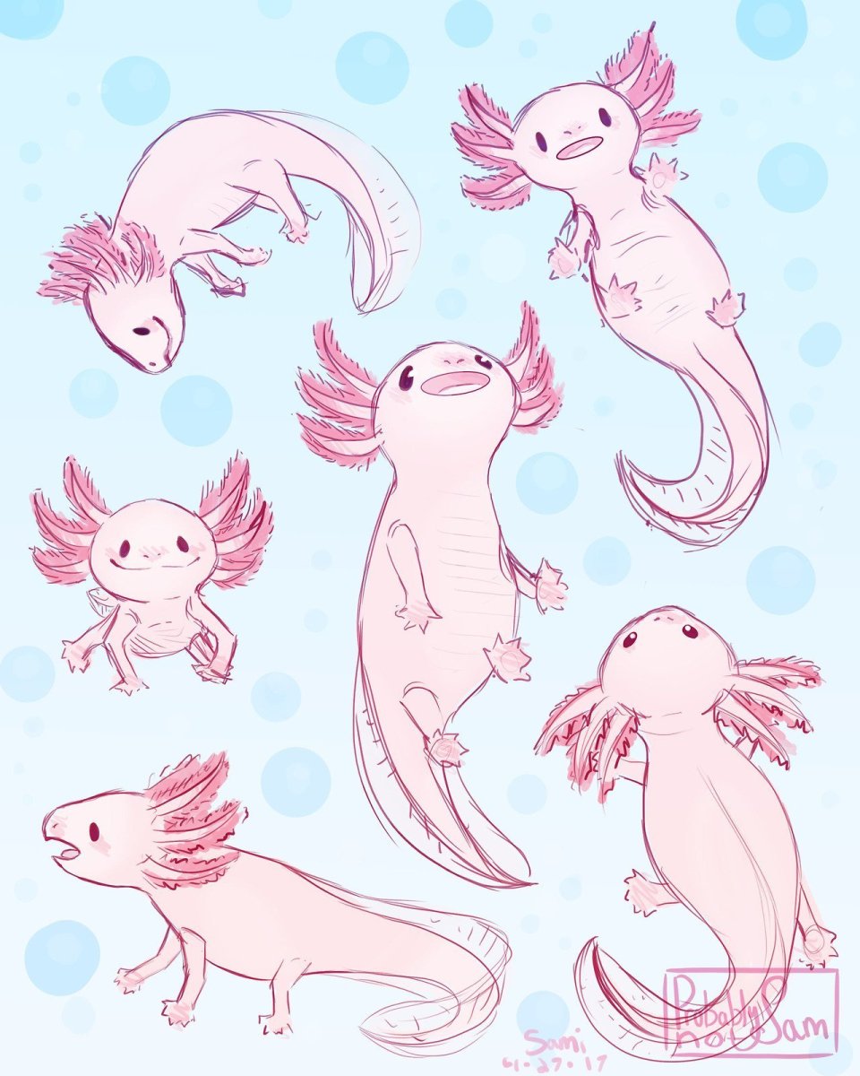 Аксолотль лайн