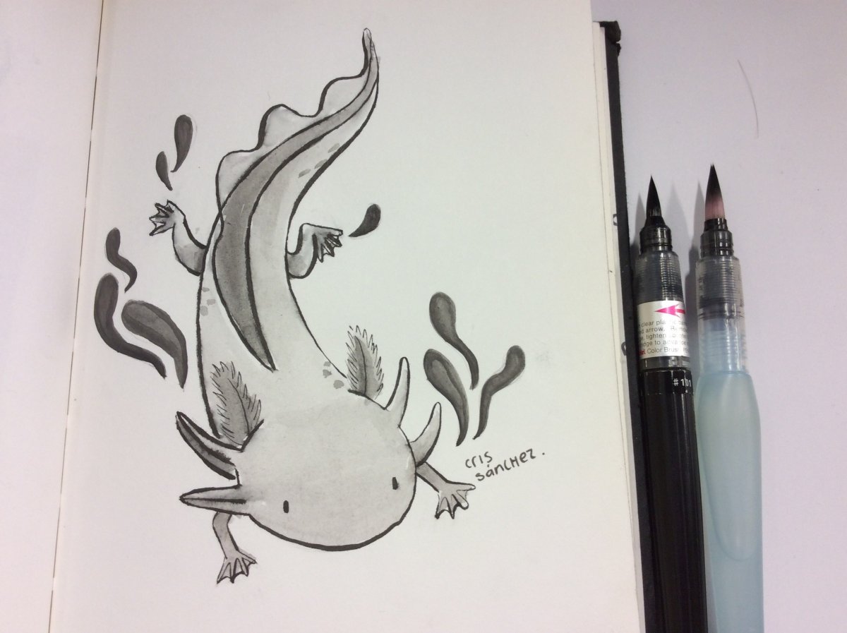 Аксолотль покемон