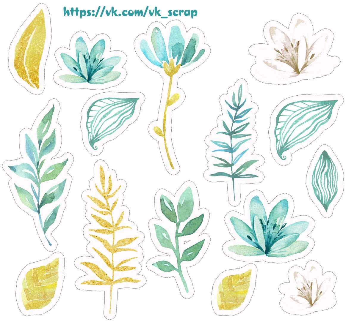 Раскраска листья лиственных деревьев