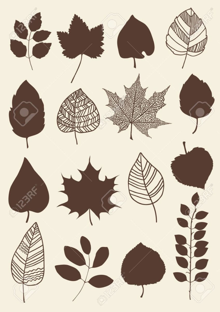 Листья разных деревьев