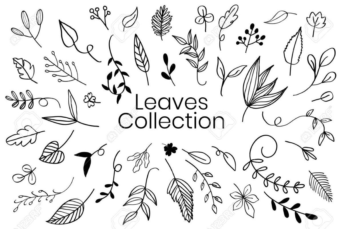 Веточка с листочками раскраска