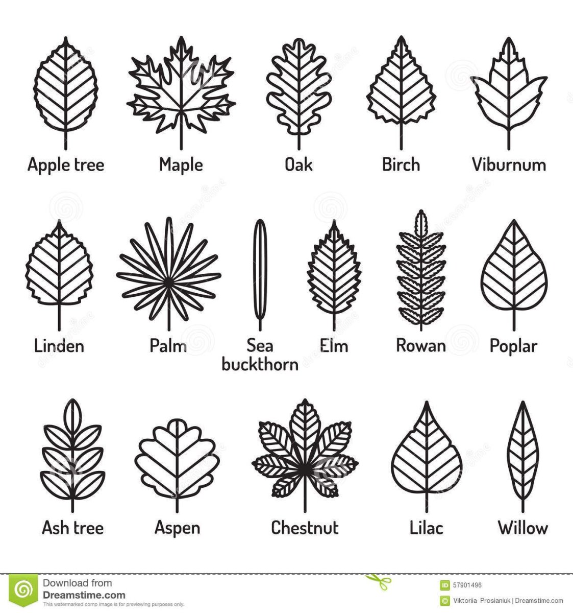 Осенние листья Doodle