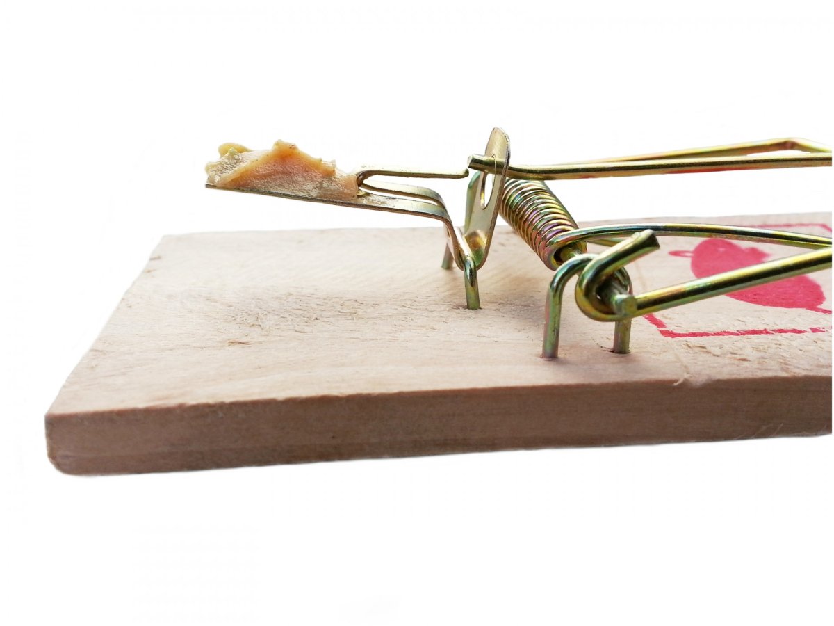 Пружина для мышеловки