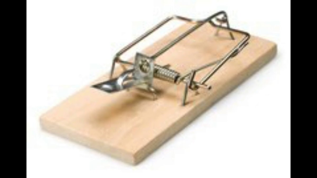 Мышеловка потолочная круглая