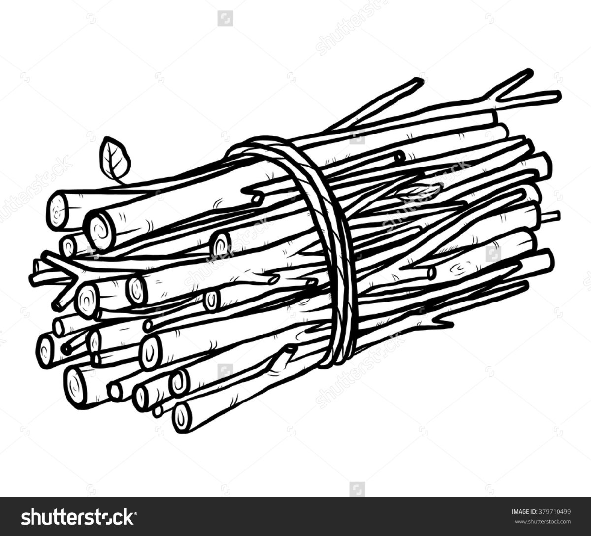 Векторное бревно