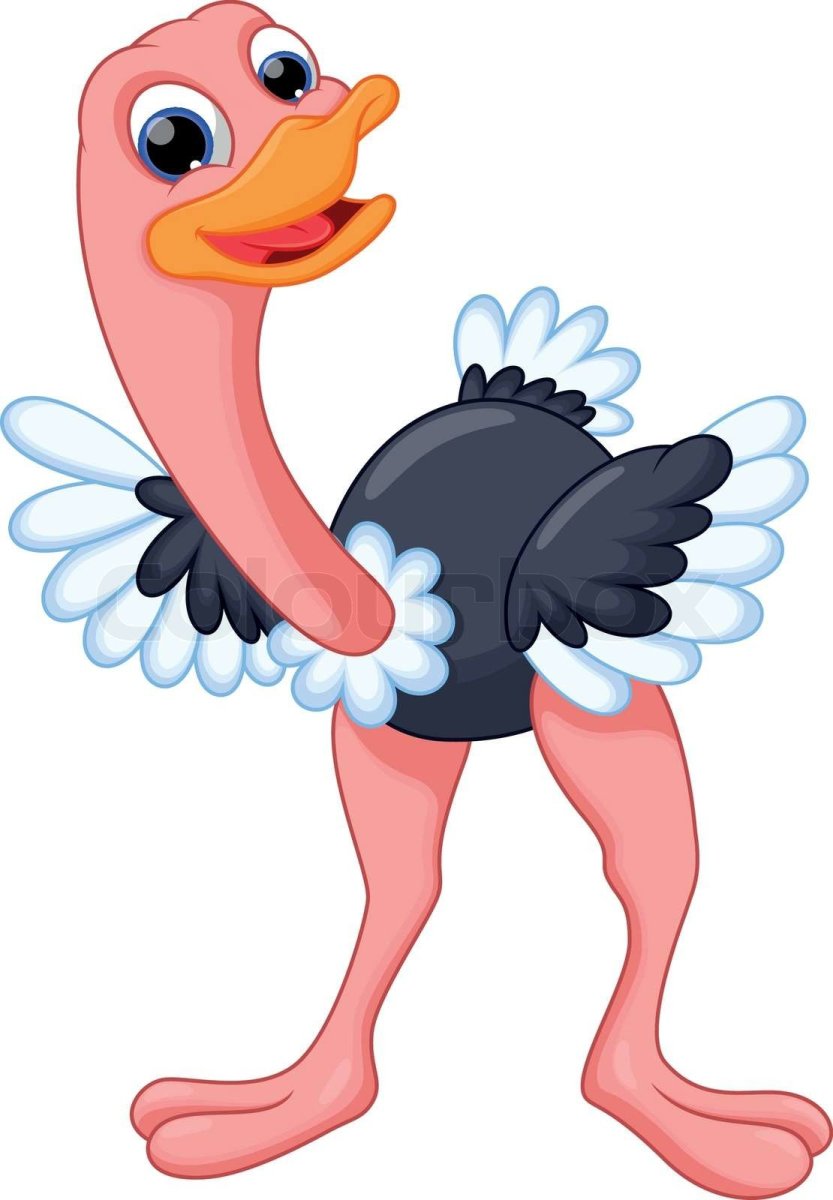 Африканский страус рисунок