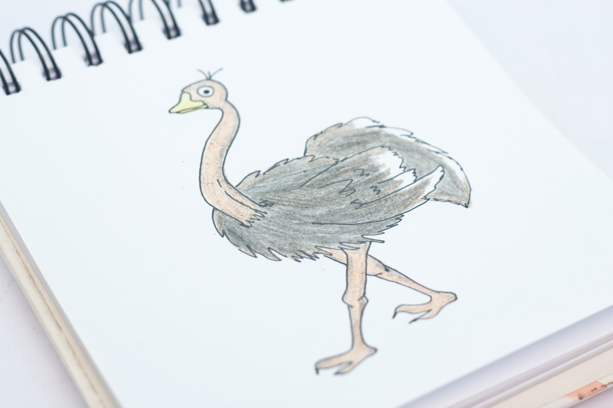 Страус раскраска