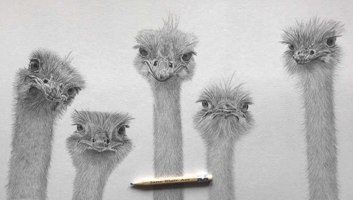 Страус задания для детей