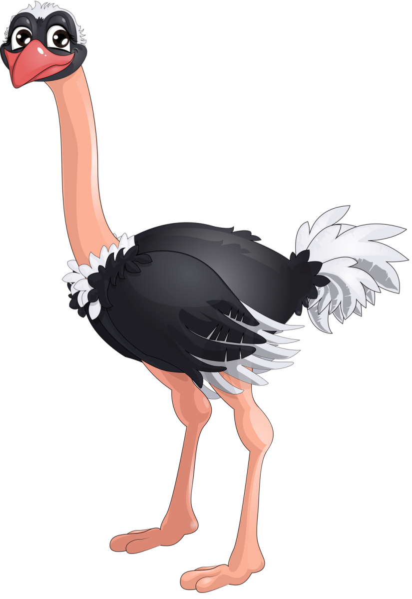 Страусы мультяшные